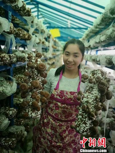 图为安置点贫困群众种植食用菌 姚再俊 摄