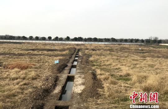 江苏扬州考古人员被打事件追踪：涉事地块暂停交地