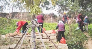泉州“最美绿道”山线绿道迎客忙 二期工程提前复工