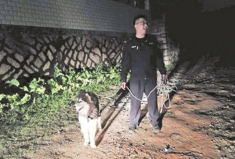 南安一顽皮狗摸黑进村追鸭子上蹿下跳 民警急寻狗主人