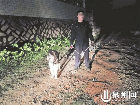 闯入村里的“不速之客”被民警驯服