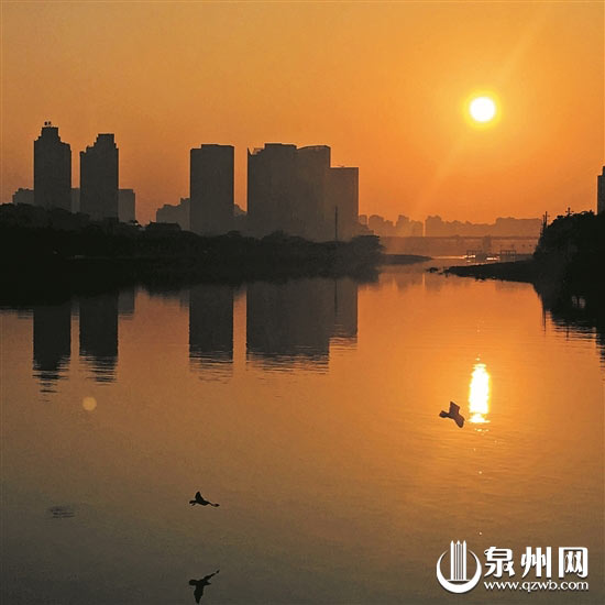 昨日暖阳乍现，泉州市区各处洋溢着春天的气息。（记者潘登 摄于丰海路）