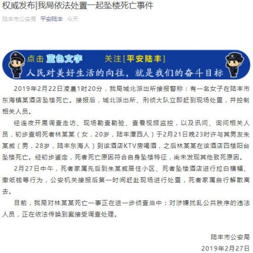 广东陆丰市公安局发布截图