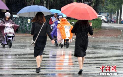资料图：2018年11月，福州市民在雨中出行。张斌 摄