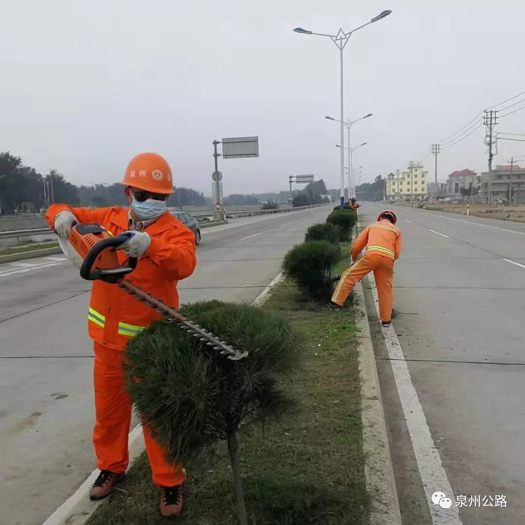 惠安公路分局组织人员对管养路段的绿化景观进行清理修剪工作