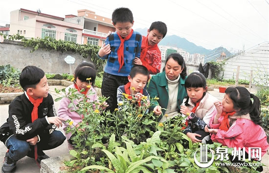 老师和同学们一起观察研究作物的生长变化，课堂变得更具体、生动起来。