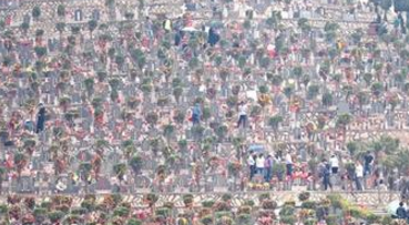 清明小长假迎祭扫高峰！泉州两园一山共有17.7万人次祭扫