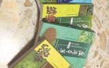 收录药物上千种 泉州版《本草纲目》获殊荣