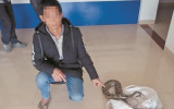 路遇大蟒蛇抓去卖 泉州两男子一起被判刑(图)