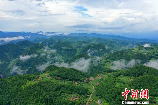 航拍樟村坪镇三堡垭村果园基地 李重庆 摄