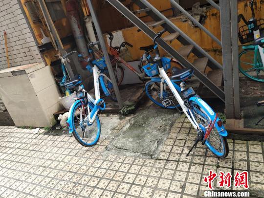 广州一女子破坏、私占共享单车被警方刑拘并立案侦查