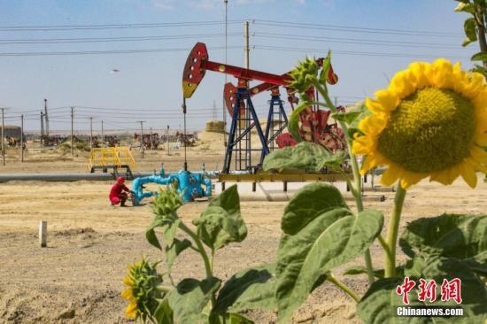 资料图：新疆风城油田。吴小川 摄