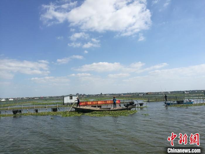 苏州连夜部署排查阳澄湖周边540家农家乐污染问题