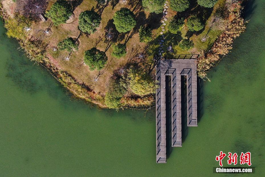 航拍苏州花桥天福国家湿地公园冬日画卷