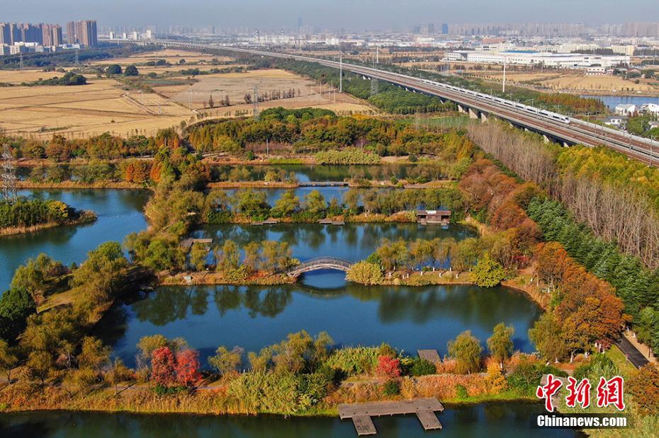 航拍苏州花桥天福国家湿地公园冬日画卷