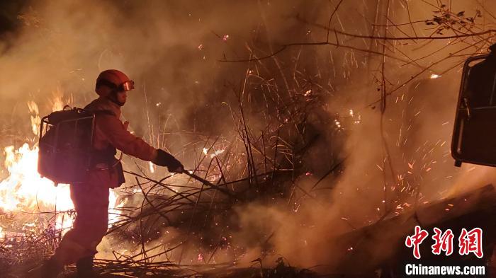 此次森林火灾过火面积约250亩，没有造成人员伤亡。福建省森林消防总队供图