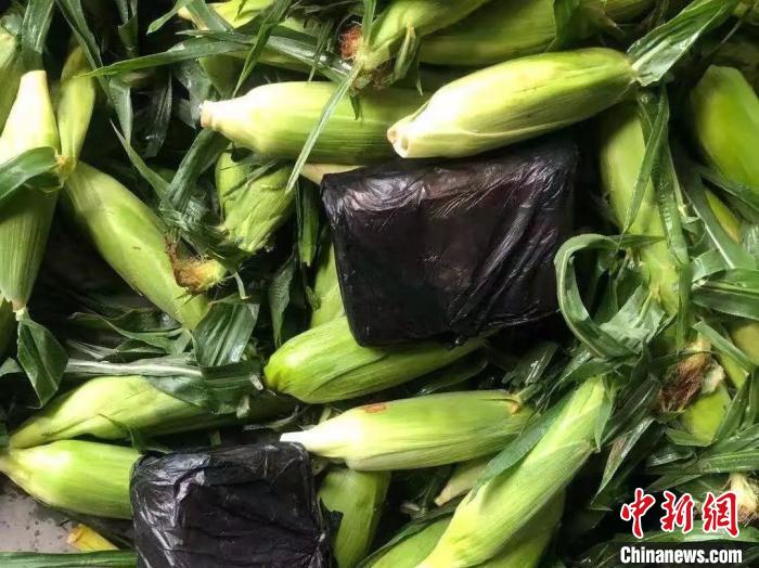 图为藏在玉米中的毒品。荆州市公安局供图