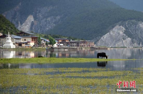 云南立法規范氣候資源保護開發 曾出臺法規破解環保難題