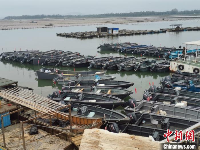 广西中越边境加大海上缉私力度查扣非法“飞艇”69艘