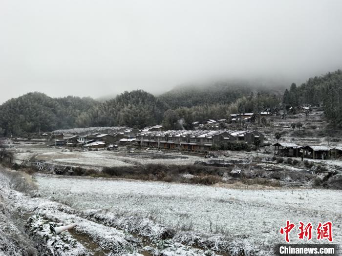 2月16日，一场雪让福建泰宁县新桥乡宝石村呈现一派银装素裹景象。　江丽霞 摄