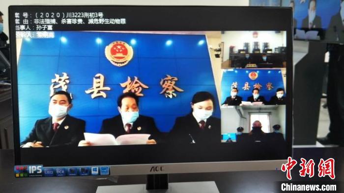 远程视频审理。(茂县法院供图) 起钰婷 摄