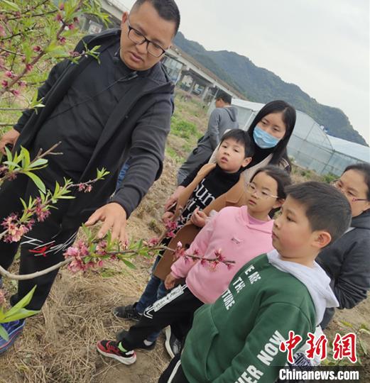 图为鲍科讲解桃树养护知识。受访者提供