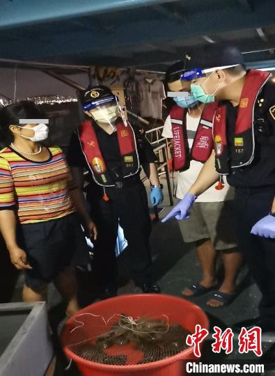 广州海关查获涉嫌走私的34只濒危动物黄喉拟水龟