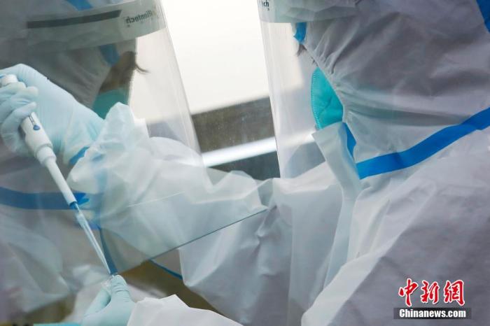 资料图：上海兰卫医学检验所工作人员正在对送来的样本进行核酸检测。 殷立勤 摄