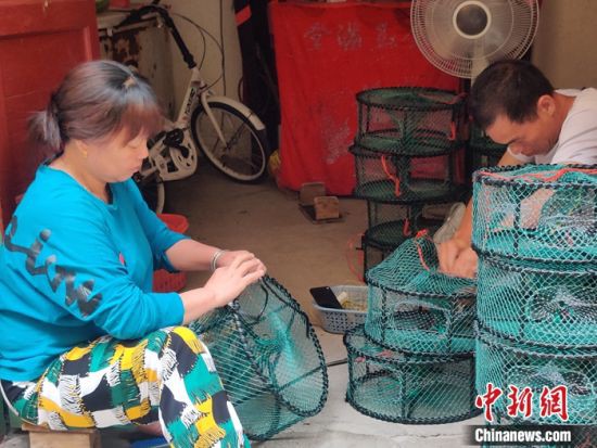 图为下岐村村民江白弟夫妻俩在织蟹笼。叶秋云摄