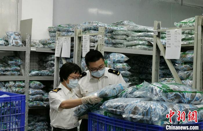 广州关区中药材出口增长迅猛出口货值居全国首位