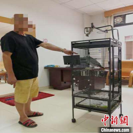 广东一男子网购濒危野生动物做宠物被追究刑责