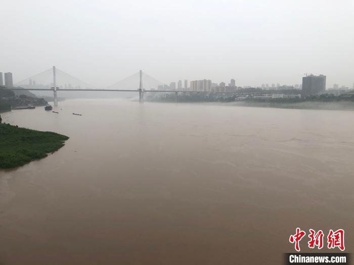 图为受降雨影响，长江重庆主城段河水不断上涨。　刘相琳 摄