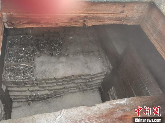 非法捕捞近50万余斤被查获。台州海警局供图
