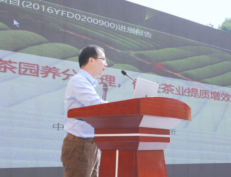 2020年安溪县茶产业高质量发展沙龙首站走进湖上乡